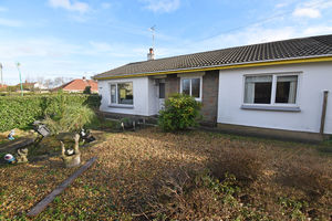 - click for photo gallery